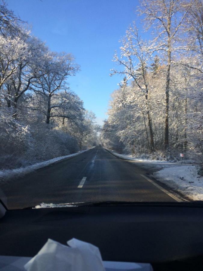 Lesse Matinal Villa Redu Bagian luar foto